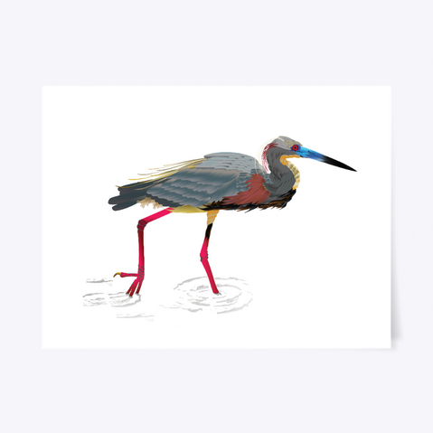 Tri Colored Heron White T-Shirt Front